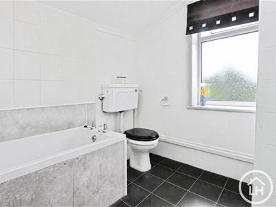 Picture 13